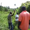 inspecting land for cocoa nursery